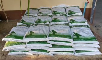 soil100